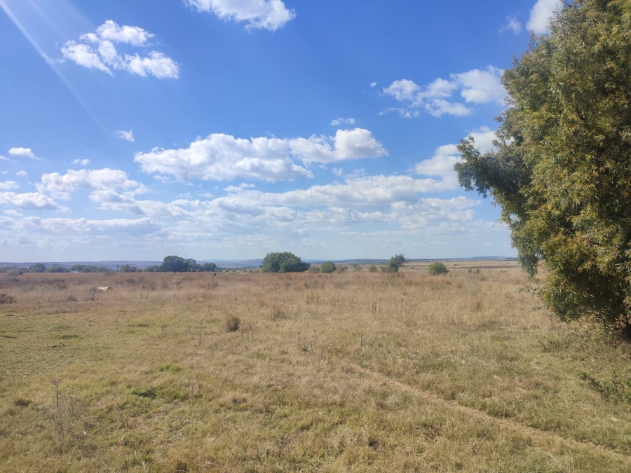 4 Bedroom Property for Sale in Zeerust North West